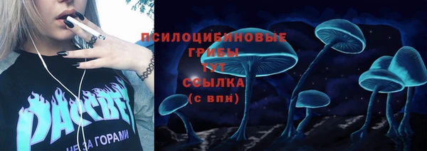 гидропоника Алзамай