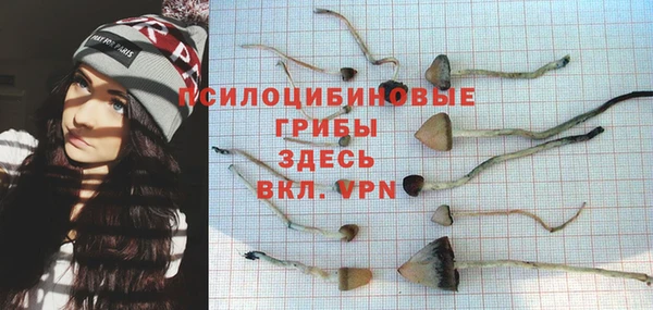 гидропоника Алзамай
