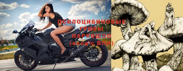 герыч Алексин
