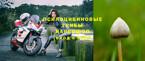 гидропоника Алзамай