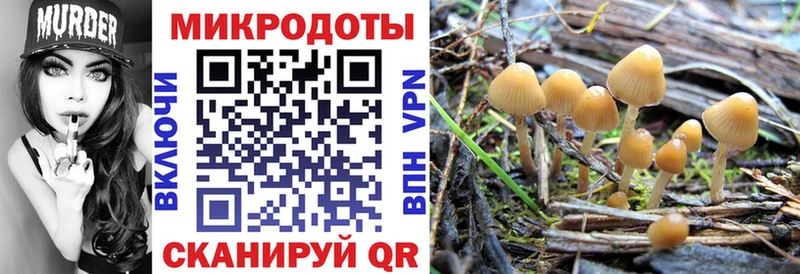 Галлюциногенные грибы MAGIC MUSHROOMS  хочу   kraken как войти  Яровое 